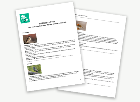 UK Pet Food Fact Sheet - Top 10 Wild Birds.png