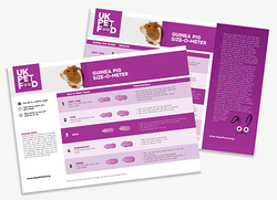 UKPF Size-O-Meter - Sizing chart - Guinea Pigs.png