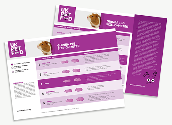 UKPF Size-O-Meter - Sizing chart - Guinea Pigs.png