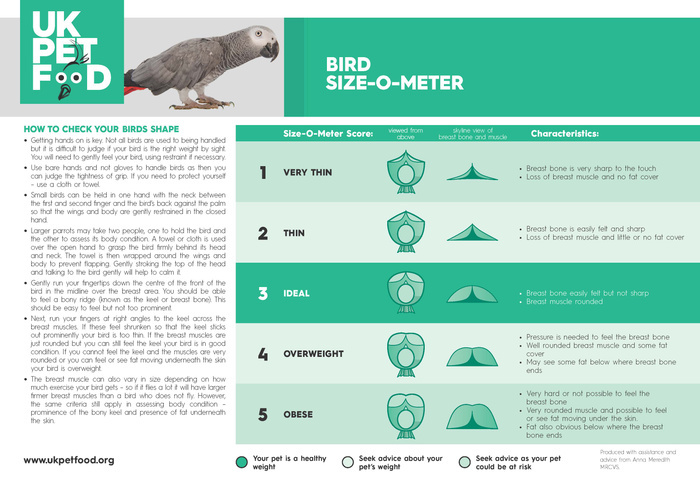 UK Pet Food Bird Size-O-Meter_Page_1.jpg