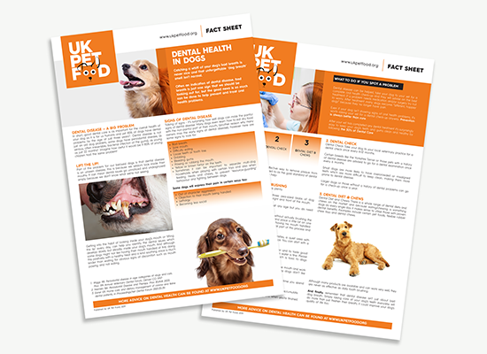 UKPF Fact Sheet - Dental health - Dogs.png