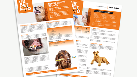 UKPF Fact Sheet - Dental health - Dogs.png