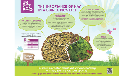 importance of hay in gp diet.png